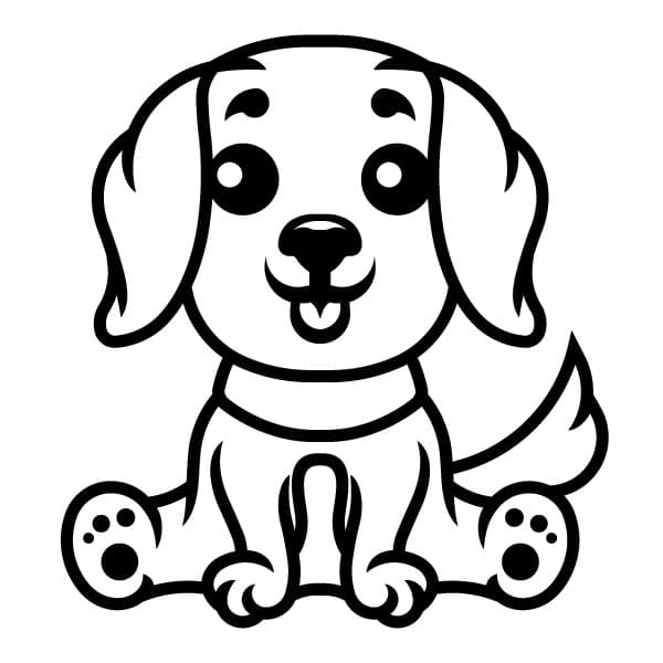 Cute puppy