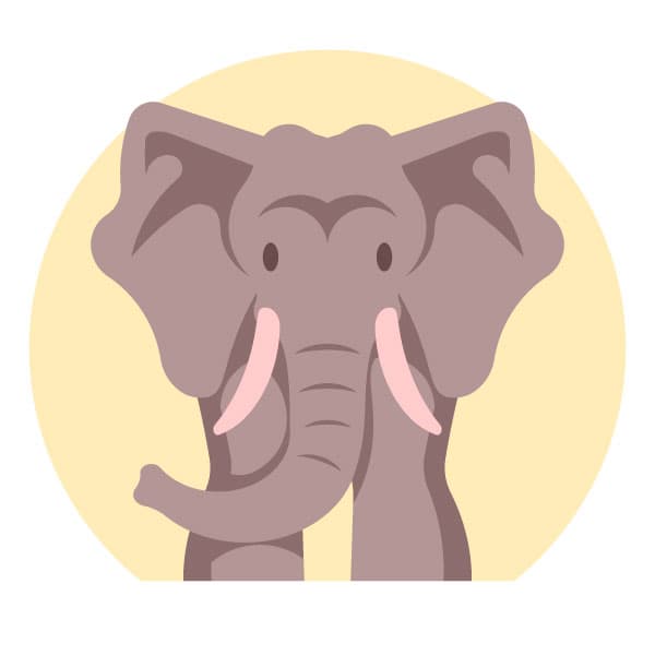 Elephant staring