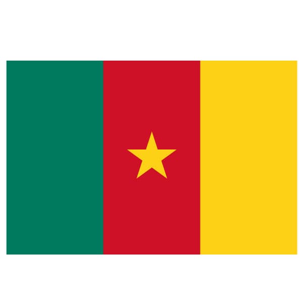 Flag of Cameroon