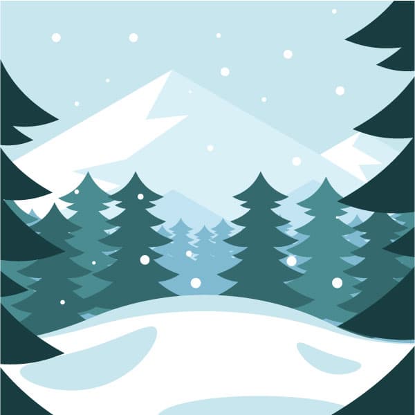 Pine tree forest in winter landscape