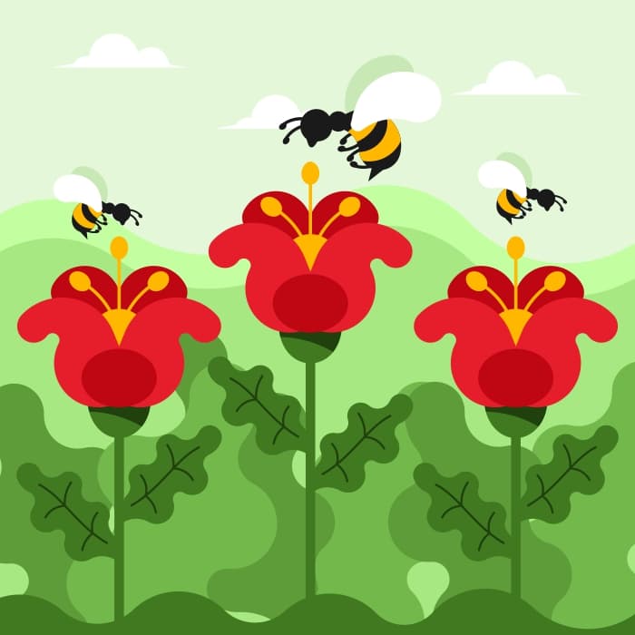 Flowers and bees