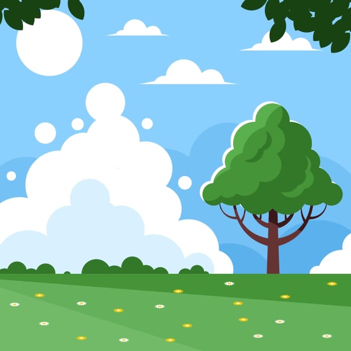 Green grass field