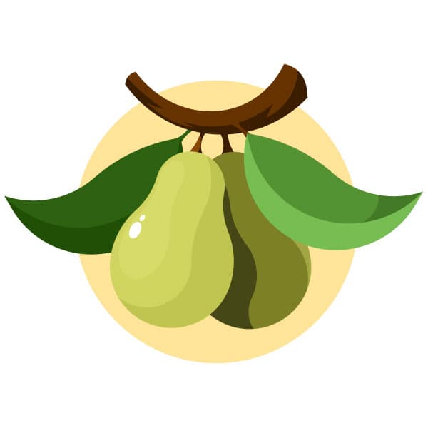 Peras en el árbol