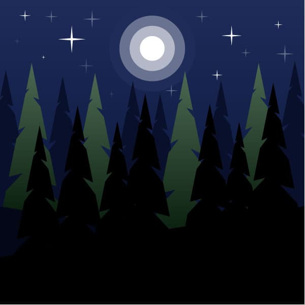 Forest in the night