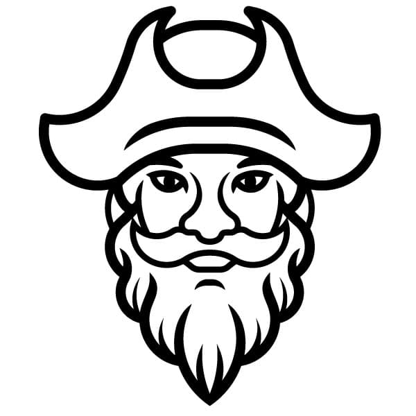 Portrait of an old pirate captain
