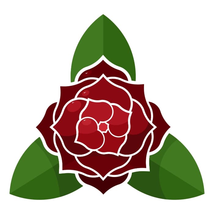 Rose flower with leaves