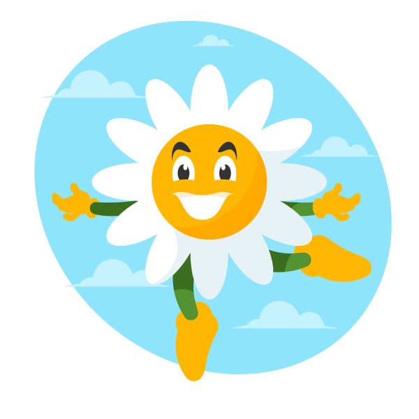 Chamomile flower character
