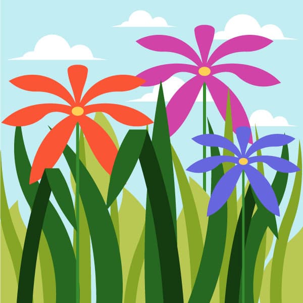 Blooming flowers