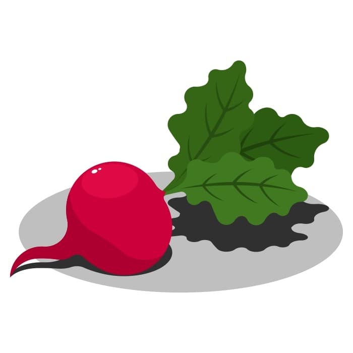 Radish