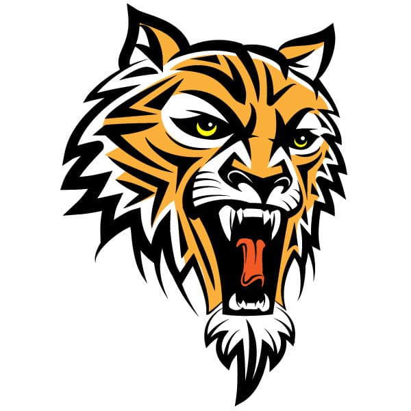 Head of a roaring tiger