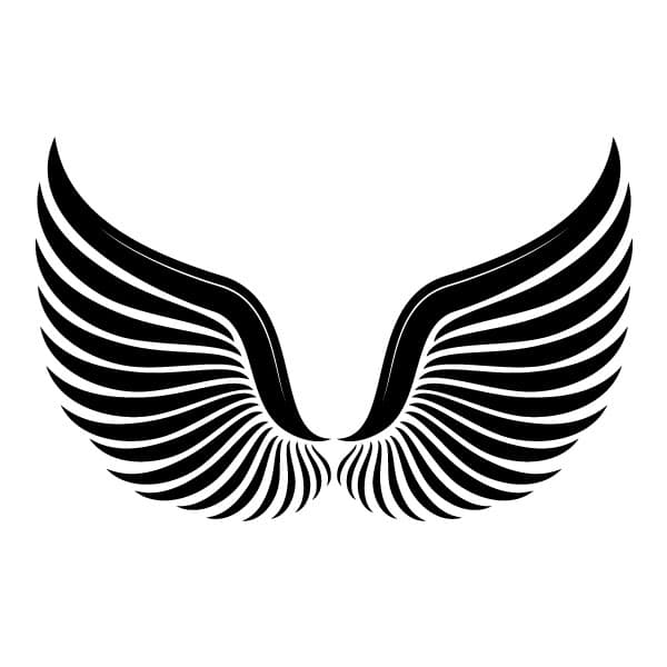 Bird wings silhouette