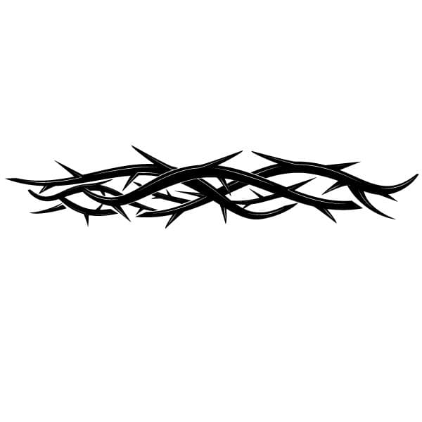 Crown of thorns