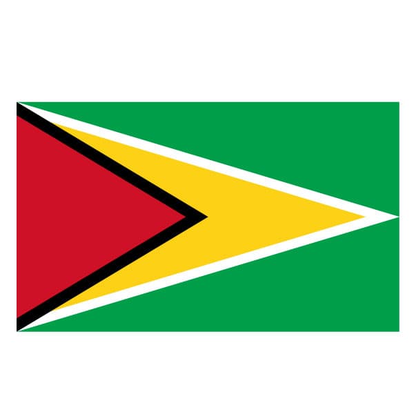 Bandera de Guyana