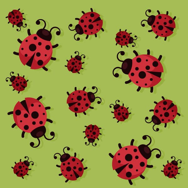 Ladybug pattern