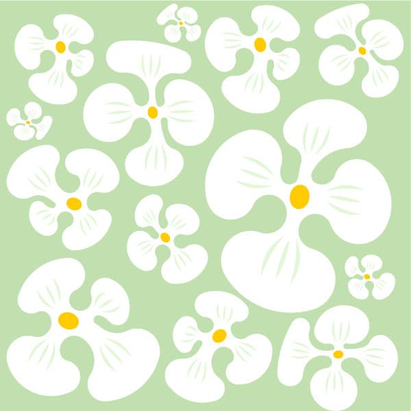 Antecedentes con las flores